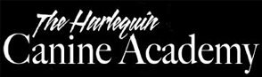 The
              Harlequin Canine Academy