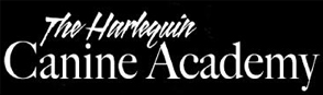 The
              Harlequin Canine Academy